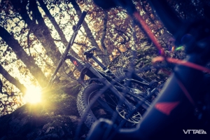 VTTAE Enqu&ecirc;te les enjeux de la r&eacute;glementation des VTT a assistance &eacute;lectrique