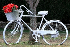 Un cycliste  de 61 ans employ&eacute; de France 3 tu&eacute; dans accident &agrave; Strasbourg