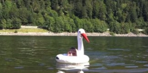 D&eacute;lice d'Alsace - Alsace Delight ...VTT Enduro en Alsace