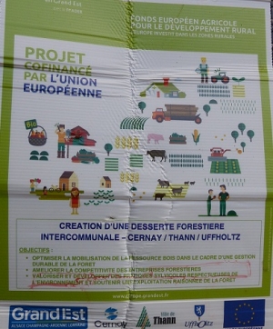 L'Europe s'engage avec le FEADER &agrave; la clef un vrai massacre du domaine forestier - Thann Cernay Uffholtz