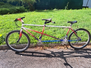 Tandem Ferraroli 1993 un petit bout de patrimoine du Mountain Bike Alsacien &agrave; vendre