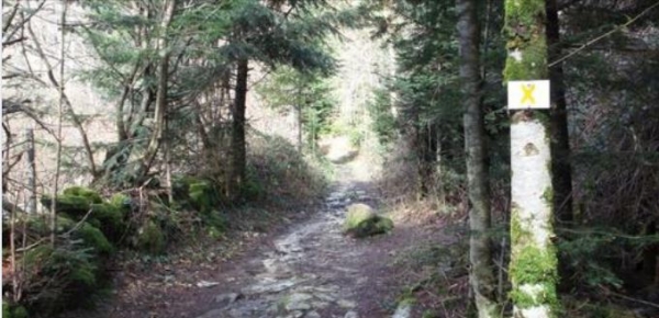 Randonneurs et vététistes indésirables dans le Wustkopf à Rimbach près de Masevaux