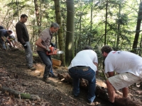 Compte rendu réunion  Antenne MBF Massif des Vosges - Section Club Vosgien de Masevaux